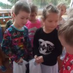 phoca_thumb_m_mikul zajci 34 Fotogalerie